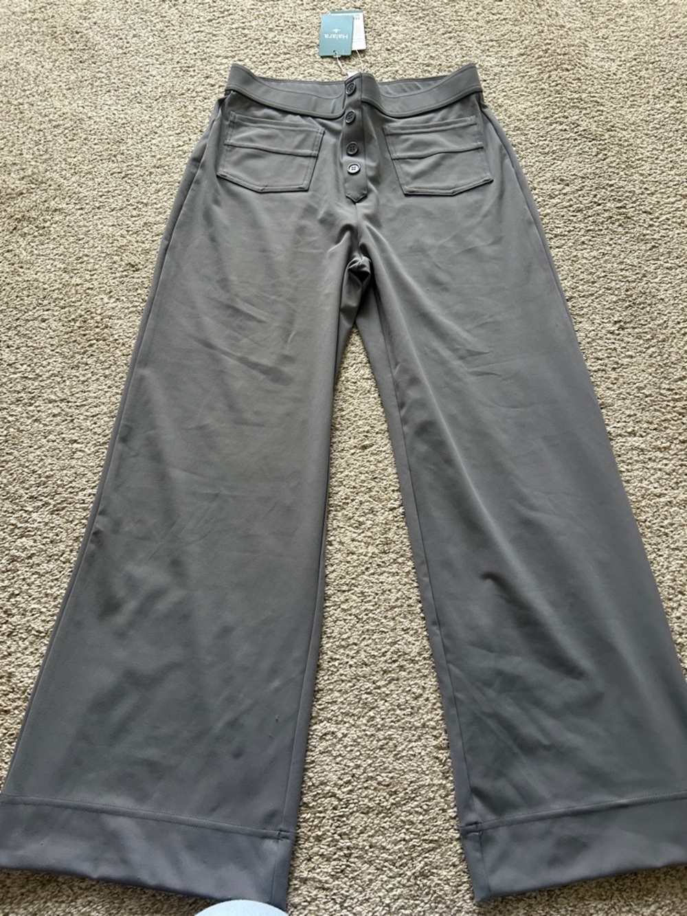 HALARA Wide Leg Button-Front Pants in Charcoal Gray